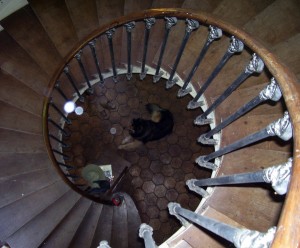 Castle_spiral_staircase